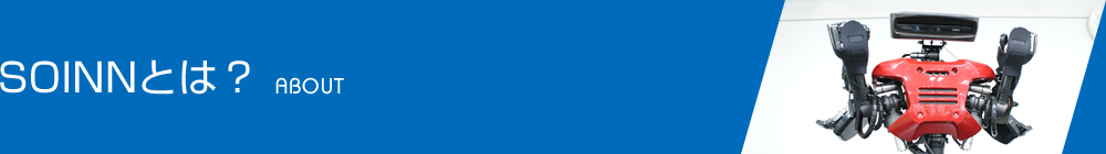 SOINNとは？